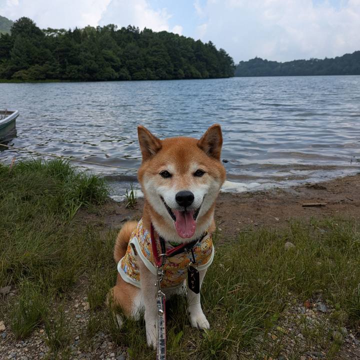 73e87a53 7dd6 427f a68e 0dc27802c4b8 1752064116833