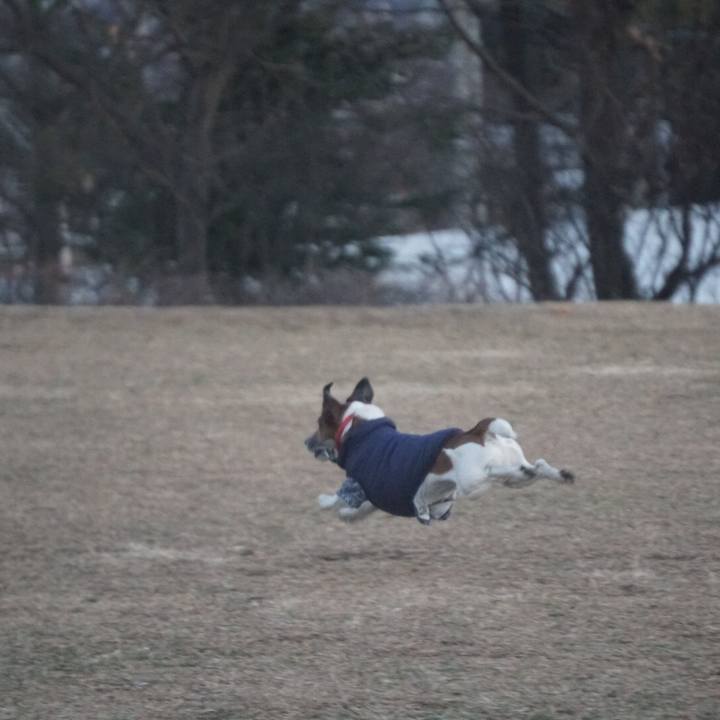 73e89841 664e 47db a992 80c5cecb0458 1611186956381