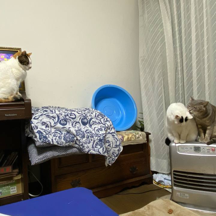 73e946cc 5387 4293 9310 38b6e39fbbdd 1581516293854