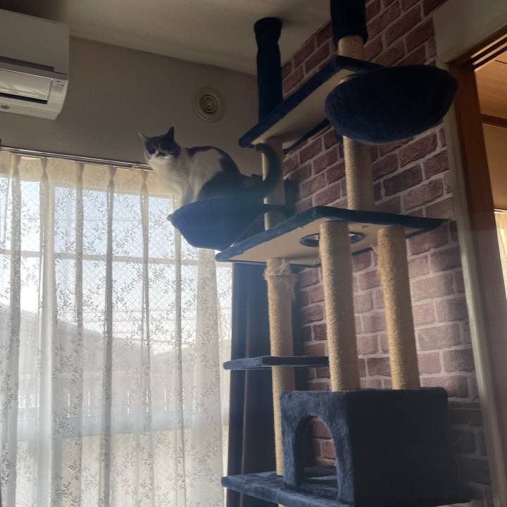 73e97115 b9a8 4efe ab93 c6e87262dfaf 1680126436308