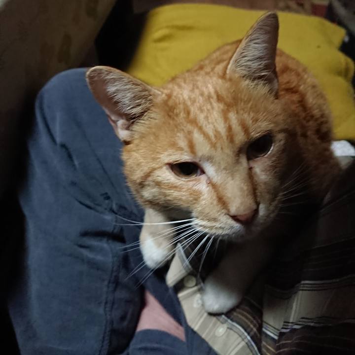 73e9a018 5450 4e27 80f5 865991c0daa1 1571087693776