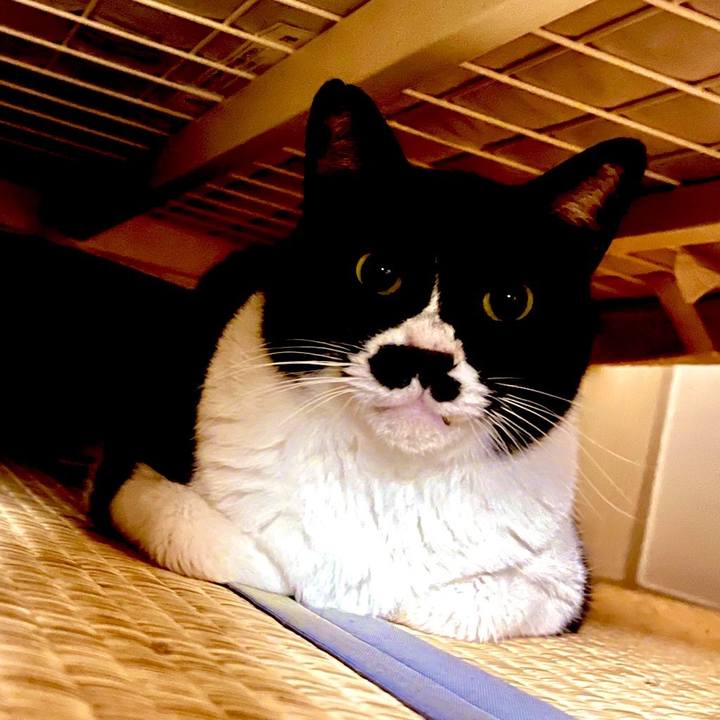 73e9b154 f22b 4aff 9b3e d99ec6cb66f7 1681481361365