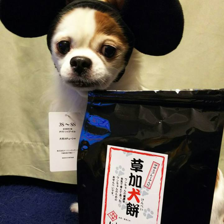 73e9ee97 4bb9 49a9 9034 e96e8a8b2f57 1513335356297