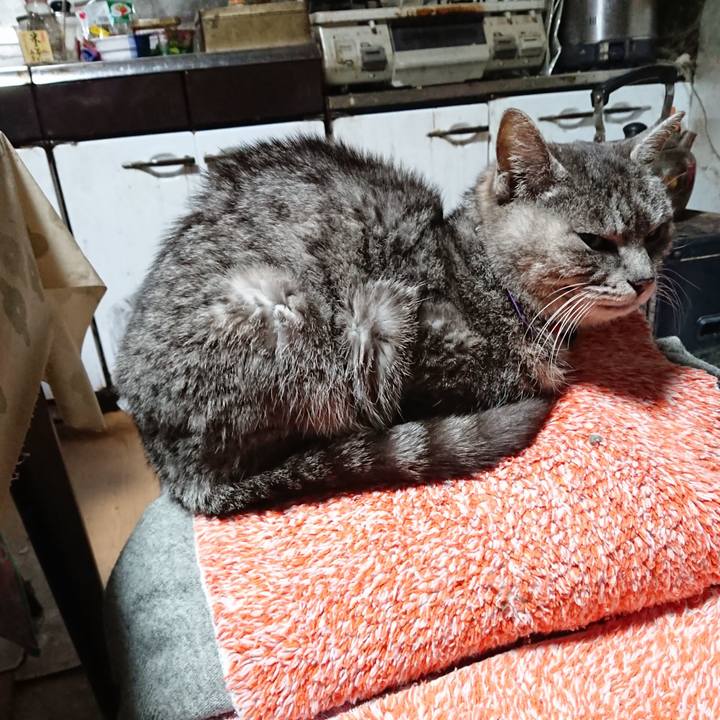 73ea0201 af75 4212 adc4 d2398165a448 1584997496296