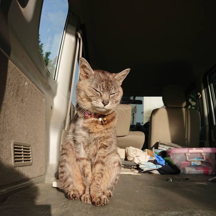 73ea026d b8b4 4523 a7f5 3a8f1e78e5eb 1593722752941