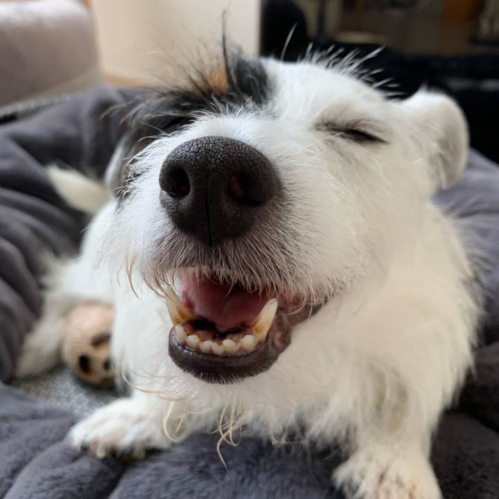 73ea2856 294a 4537 8dcf dbe214cfeadc 1592970888253