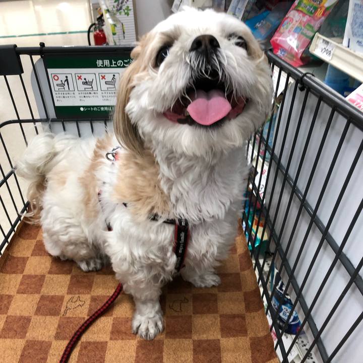 73ea411f c61c 4490 bc22 deb8d34dbfbd 1556761044624