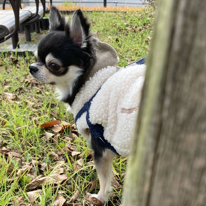 73ea531e 49ee 43a8 82d4 ca8c030b0d86 1671885941956