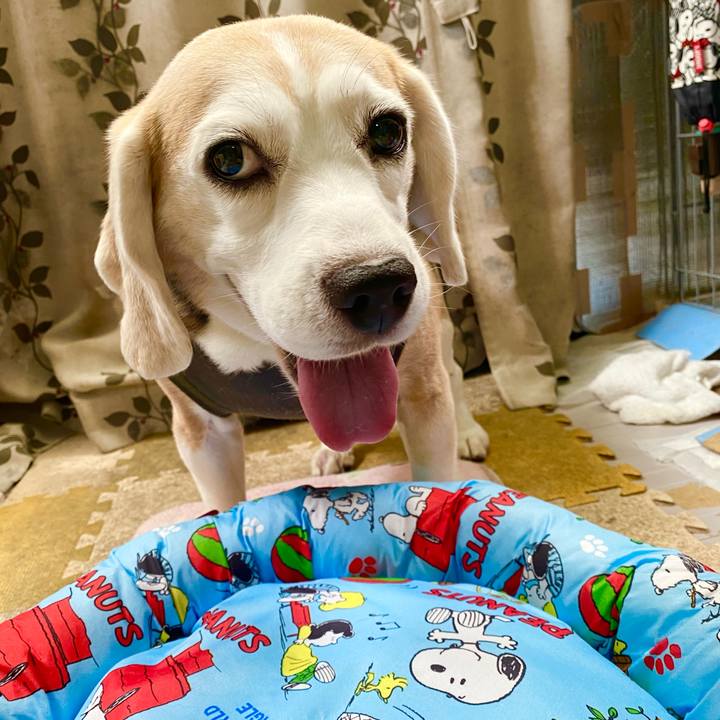 73ea5c34 5c61 4b40 8de5 20889ca01c35 1628395191553