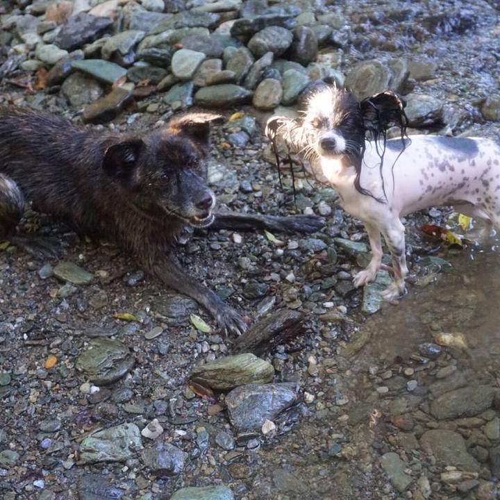 73ea5eff 6b89 417d 8733 edb61e59e9f8 1538214624470