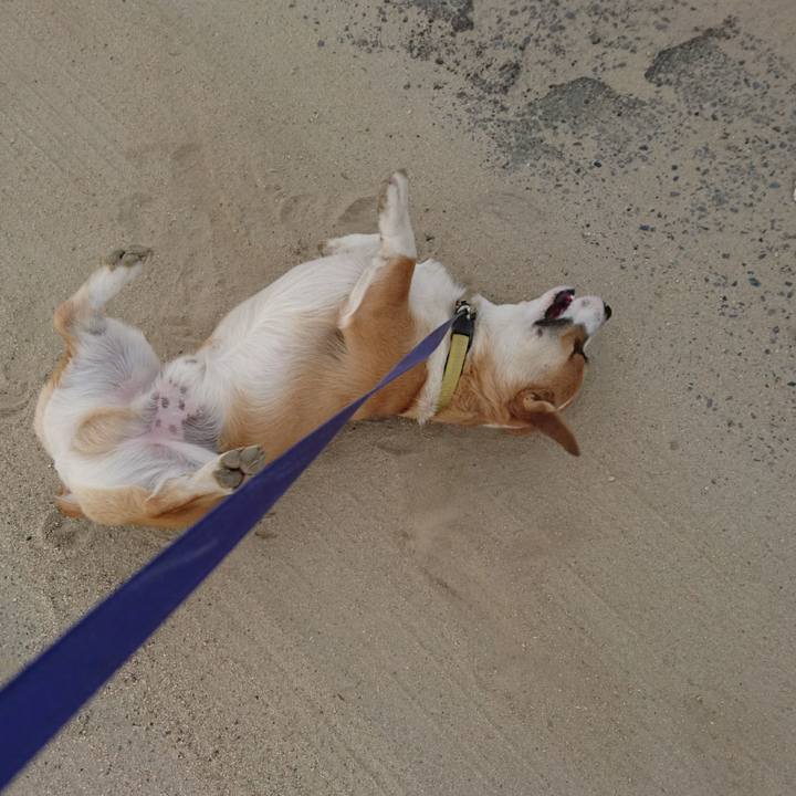 73ea7323 6ffd 46a0 9893 bd9dd5c8380f 1584123502556