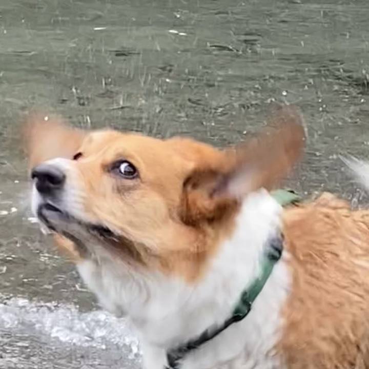 73ea7ea5 e6d3 4bc7 bc4b 918a9152093c 1749010622372