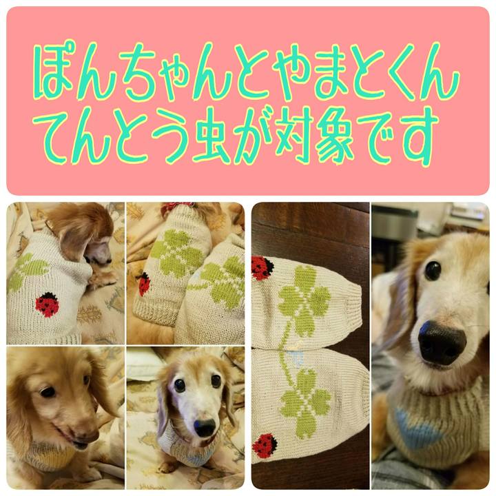 73ea8313 19ce 4244 af7e 32fc1c4953cf 1540472637504