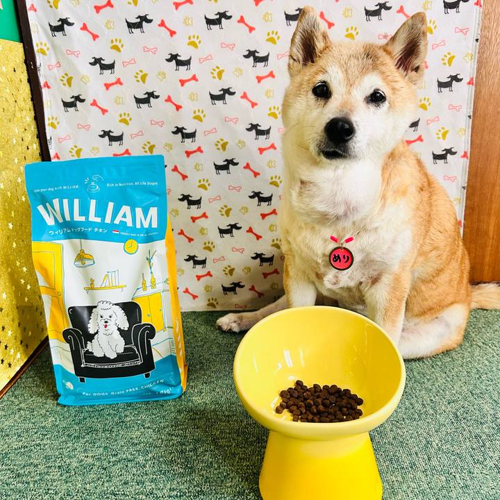 73ea9481 3a12 48e0 94d1 880c09e19567 1751428064619