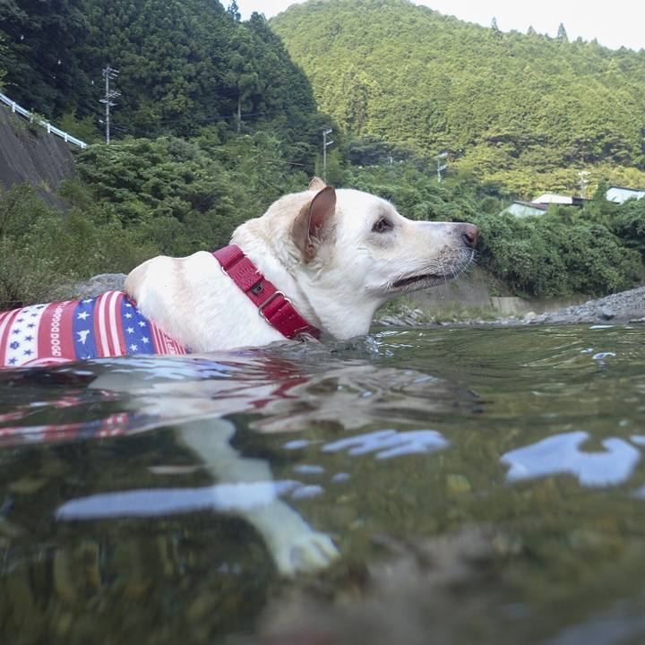 73eac2b9 ca0f 4077 b486 56ef6f2b5f81 1532041461333