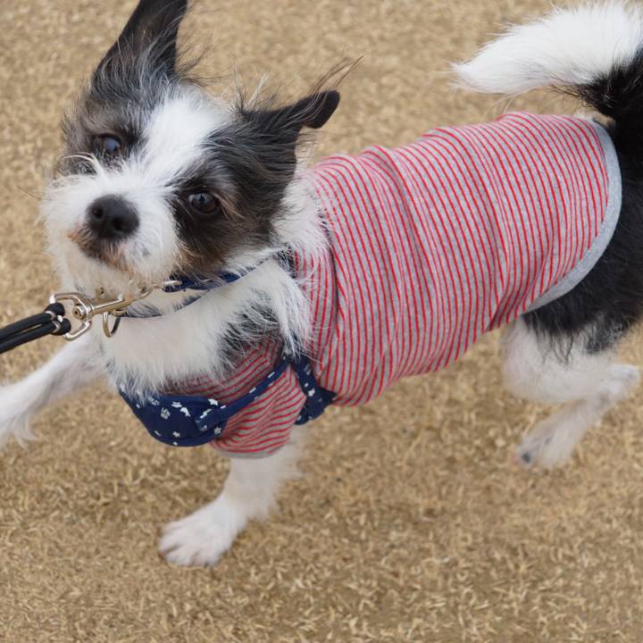 73eaedc3 7615 477e b190 90a86787a050 1550570808233