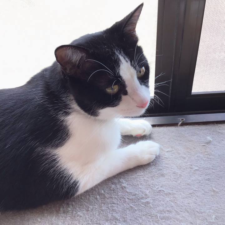 73eb0f57 09f2 4f3b a3ac 5d225b7451fc 1695039820885