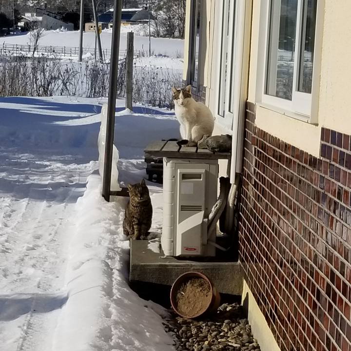 73eb184f b6af 4ef5 ae26 26cc4b5df124 1641866549191