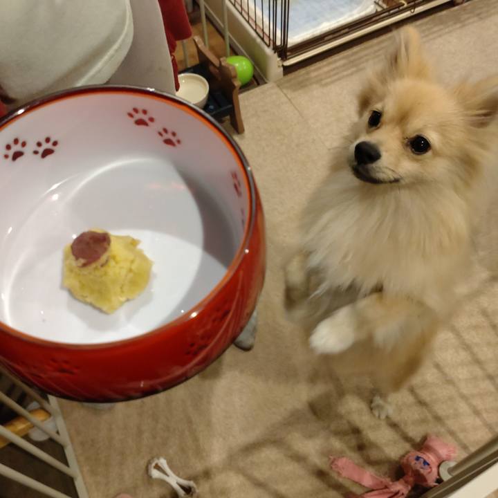 73eb2c90 b484 4991 8270 6eb18751eb35 1761019332352