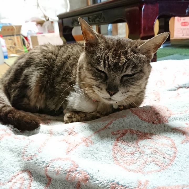 73ebfd10 ff73 4333 8cd3 d61ab92e7309 1596015103860