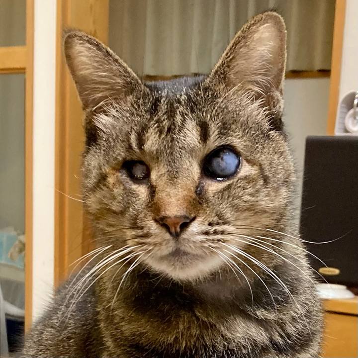 73ebff80 5178 47ce b4d0 3bd4caaa7ada 1672359612385