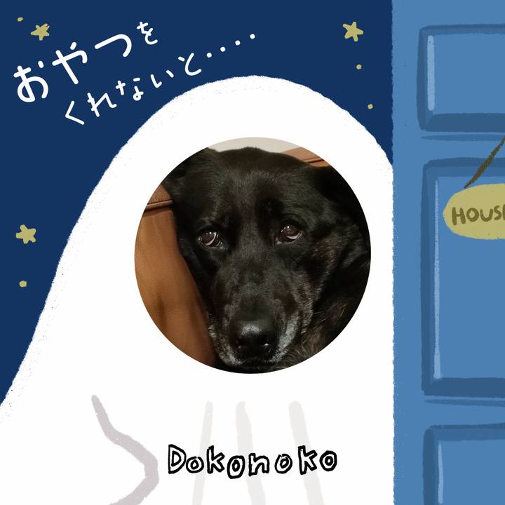 73ec0d9d 45ae 4127 9d0e c1f87d05cbb1 1731071128538