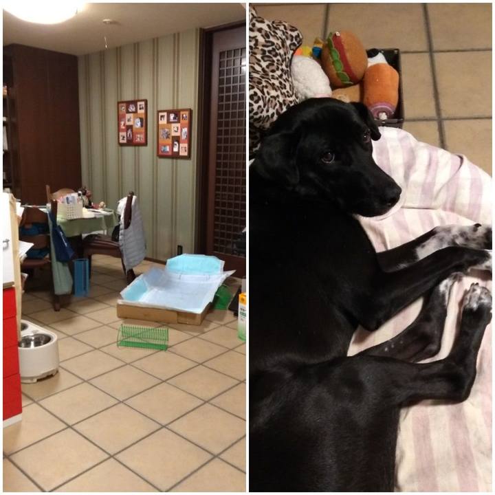 73ec5031 ff2c 449c b09a c1944cd576f5 1583877973942