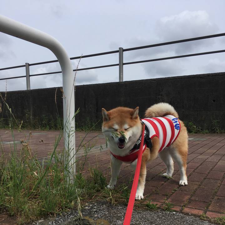 73ec5ebe b3fa 40ee 8cc5 f5788caa48fe 1592439137314