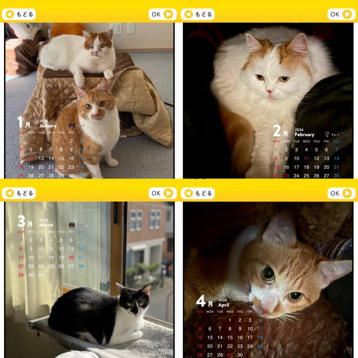 73ec615e b688 41bc 88a7 a914a97d1eb1 1763934437846