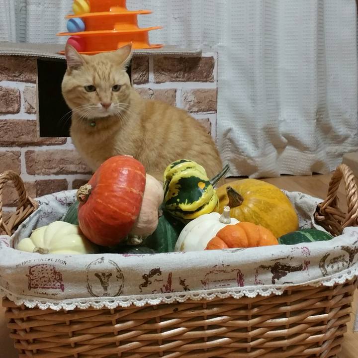 73ec98c3 af58 40d8 9f6a 9bb7771bc9f3 1539041171750