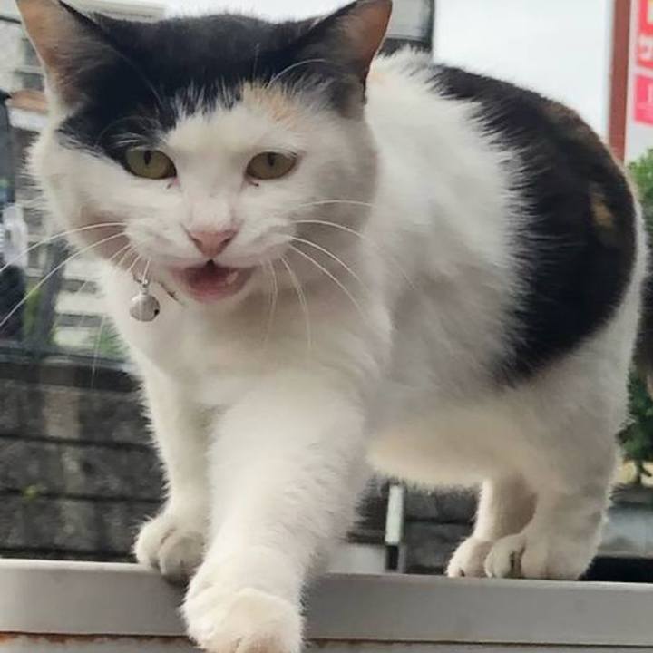 73ece6b6 e444 4b01 9363 332f8c9ae3e9 1652702888880