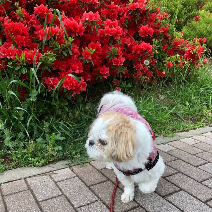 73ecfae1 24d3 4977 a315 61bb9b14e578 1556487230466