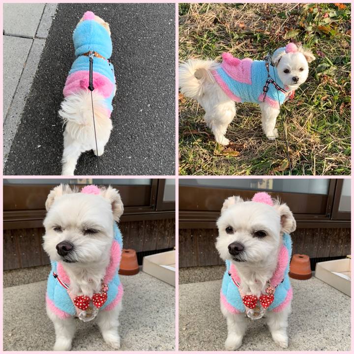 73ed0332 1c18 4a86 83f3 797678a73c6d 1609914904927