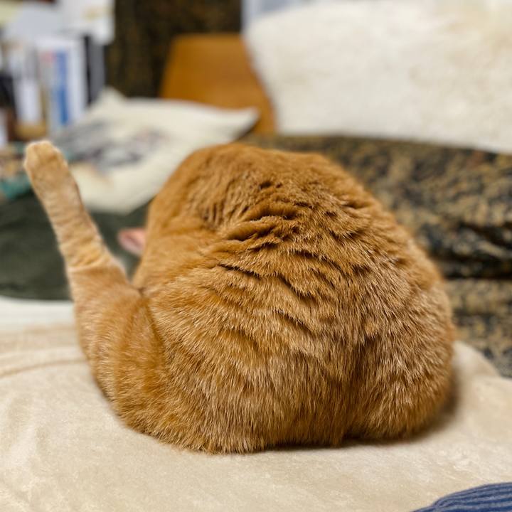 73ed1526 1b01 49ff a879 744f5b7efb64 1768261927110