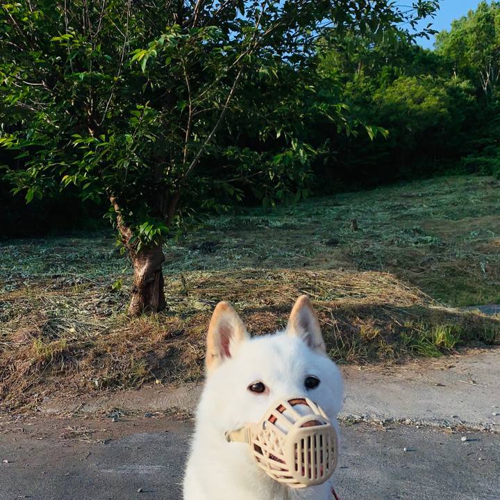 73ed3269 d916 4170 9fab d82884b80140 1562794303071