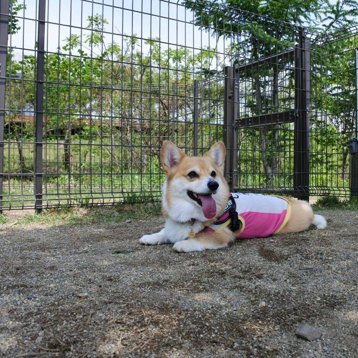 73ed398d 221c 4ed6 b6d9 dd693336358b 1685448714681