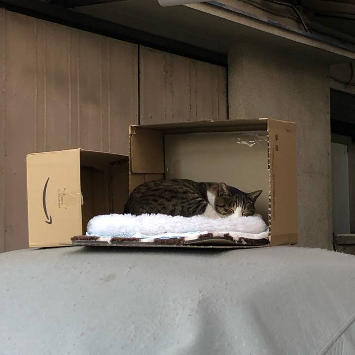 73ed83b8 d714 4e77 9af0 4e2628d874a0 1609366834878