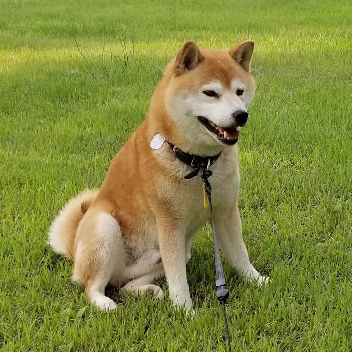 73ed99a1 c024 4dc0 bf5b 1f7870f46f49 1592208517203