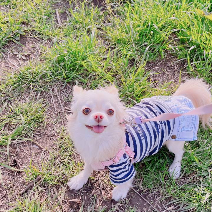 73eda06d 7e56 4a19 9d72 f142c48a2e65 1680340043981