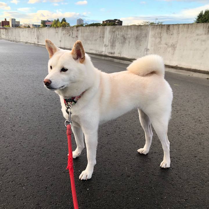 73edd3fd c7a3 43d5 a29a fb8e22610332 1571197241374