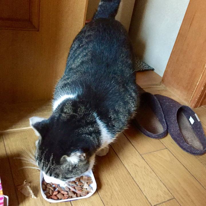 73ede0e0 8d53 4c87 bc0f 4a2bef26bc6f 1508917618428