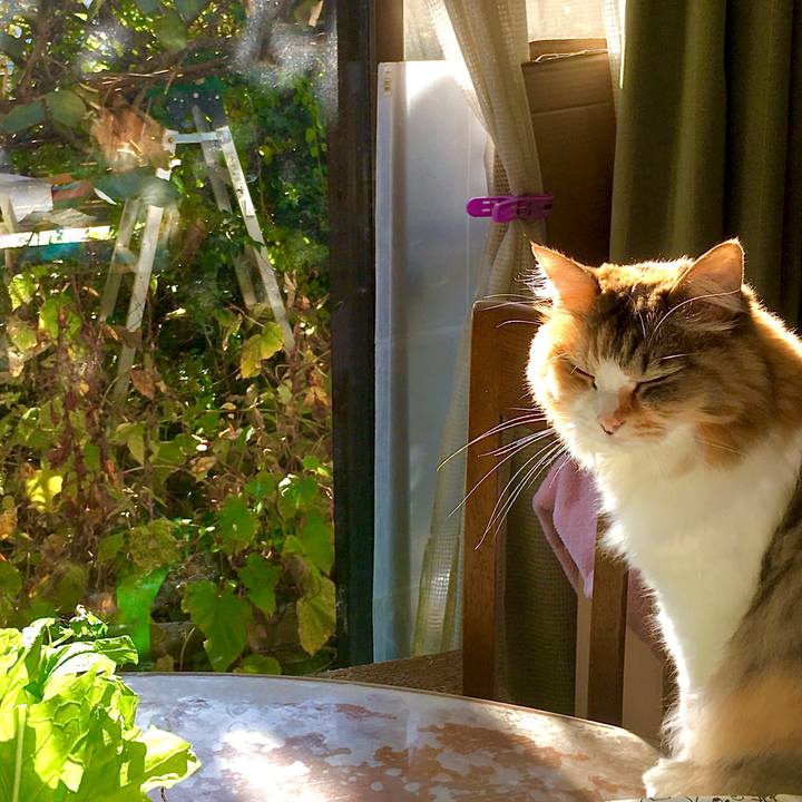 73ee0286 05cf 4ae2 895c 67640fcc2ddc 1604648446752