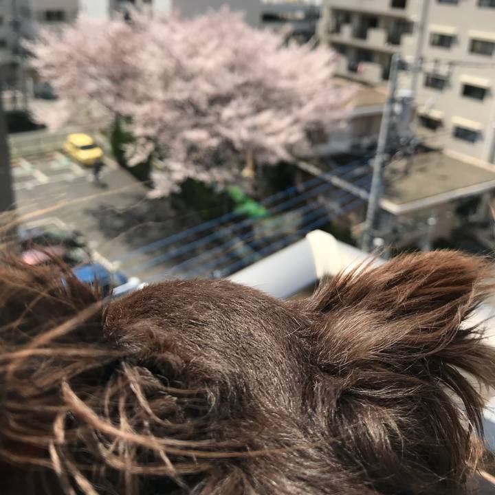 73ee111d 6a30 415a 9b65 0ae5822377d7 1521950775409