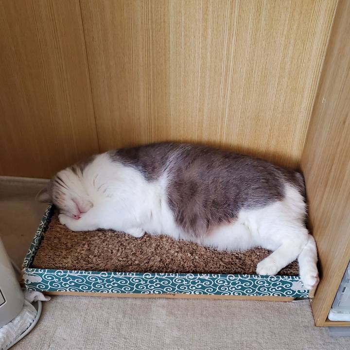 73ee415f 26c9 47ed af29 5375d00c34c2 1704899233458