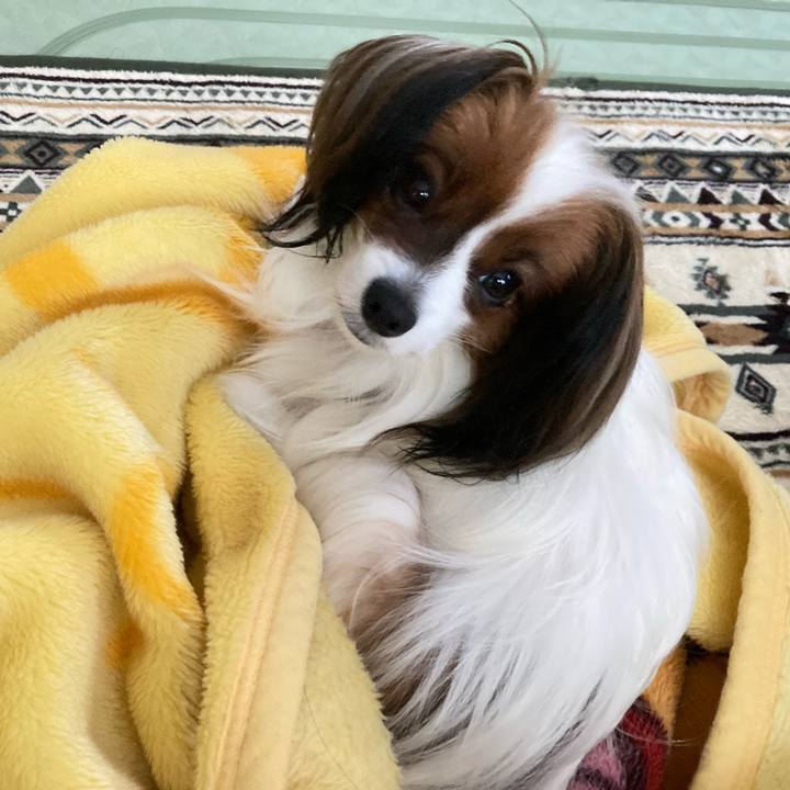 73ee531b 236e 4b16 8f36 86a8b3cfdc12 1636498555200