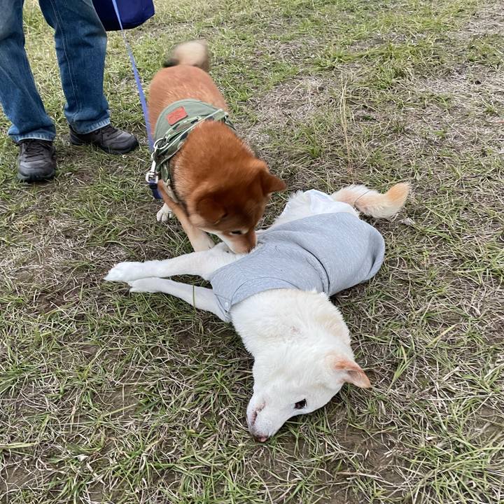 73ee744b e466 410e 99ab 82f8b7088b73 1670151594458