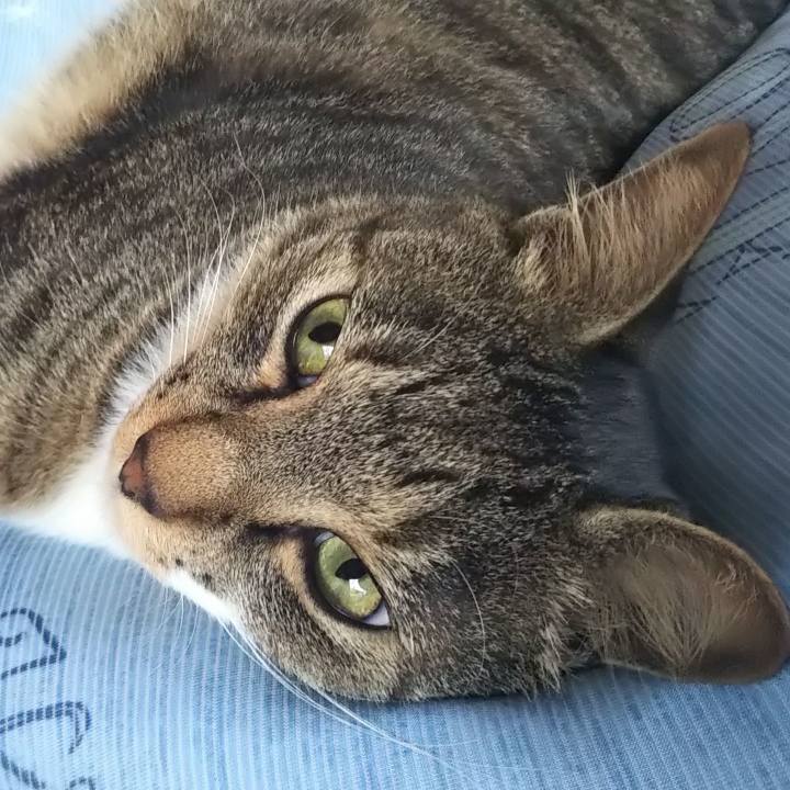 73ee8d44 f0a8 4775 9e73 957f316e3e33 1614351878435