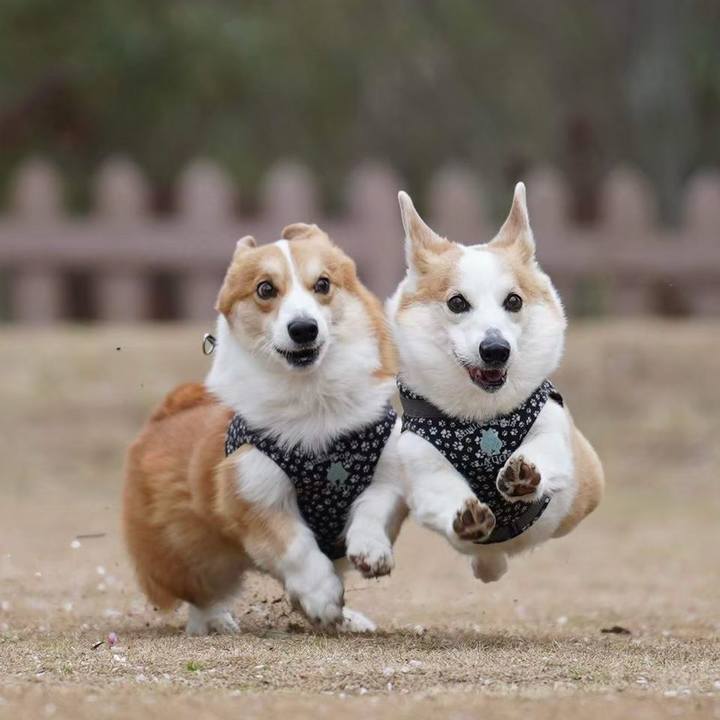 73ee9450 9202 42e8 aa86 ca1be902482a 1765356725254