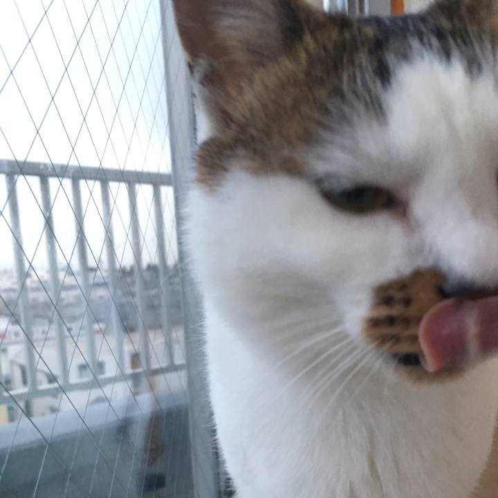 73eea11d 8202 4317 a502 941bd995b1f9 1515334841500