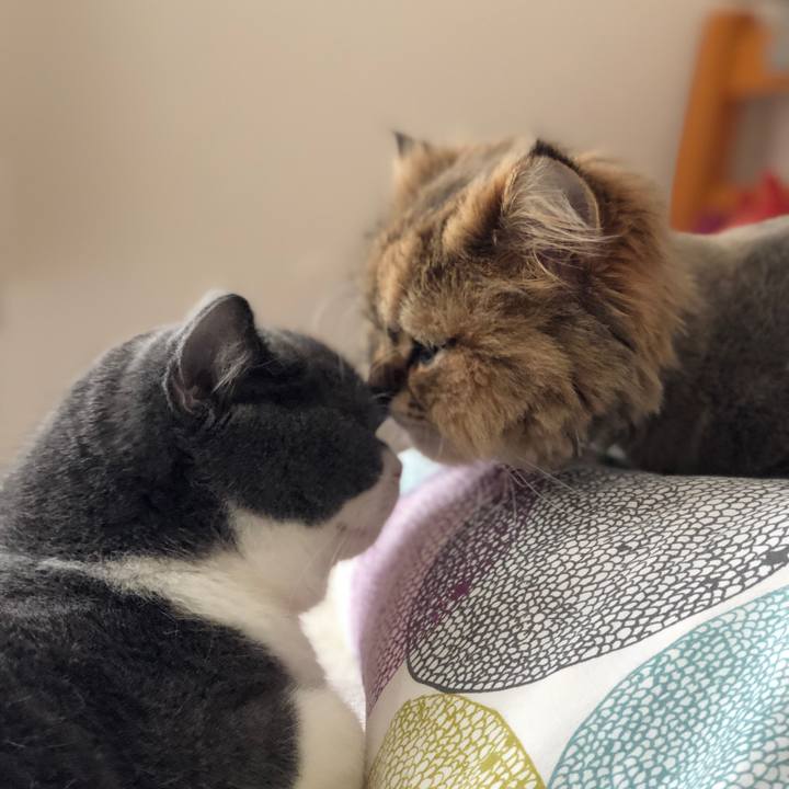 73eea2e1 00f0 4ff4 a735 7d70b4d83cfa 1523664919197